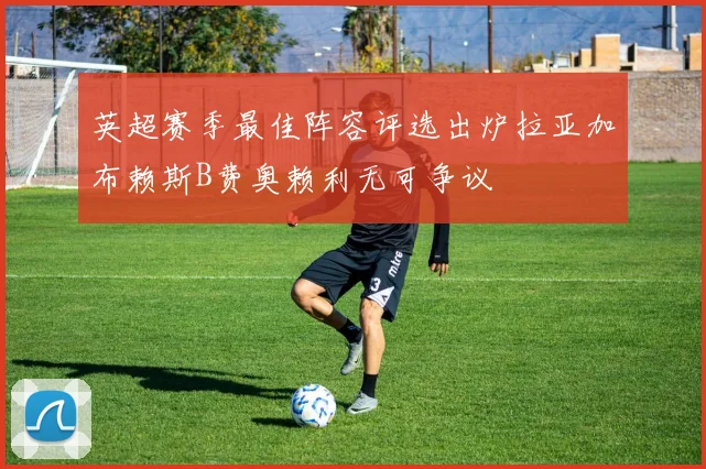 英超赛季最佳阵容评选出炉拉亚加布赖斯B费奥赖利无可争议