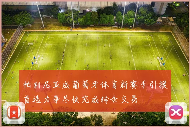帕利尼亚成葡萄牙体育新赛季引援首选力争尽快完成转会交易