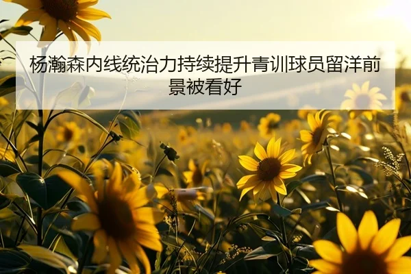 杨瀚森内线统治力持续提升青训球员留洋前景被看好